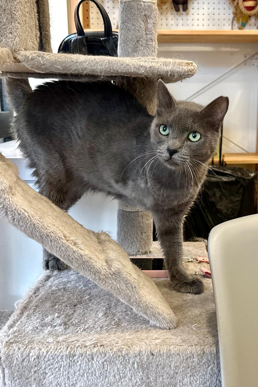 Tom (reserved)