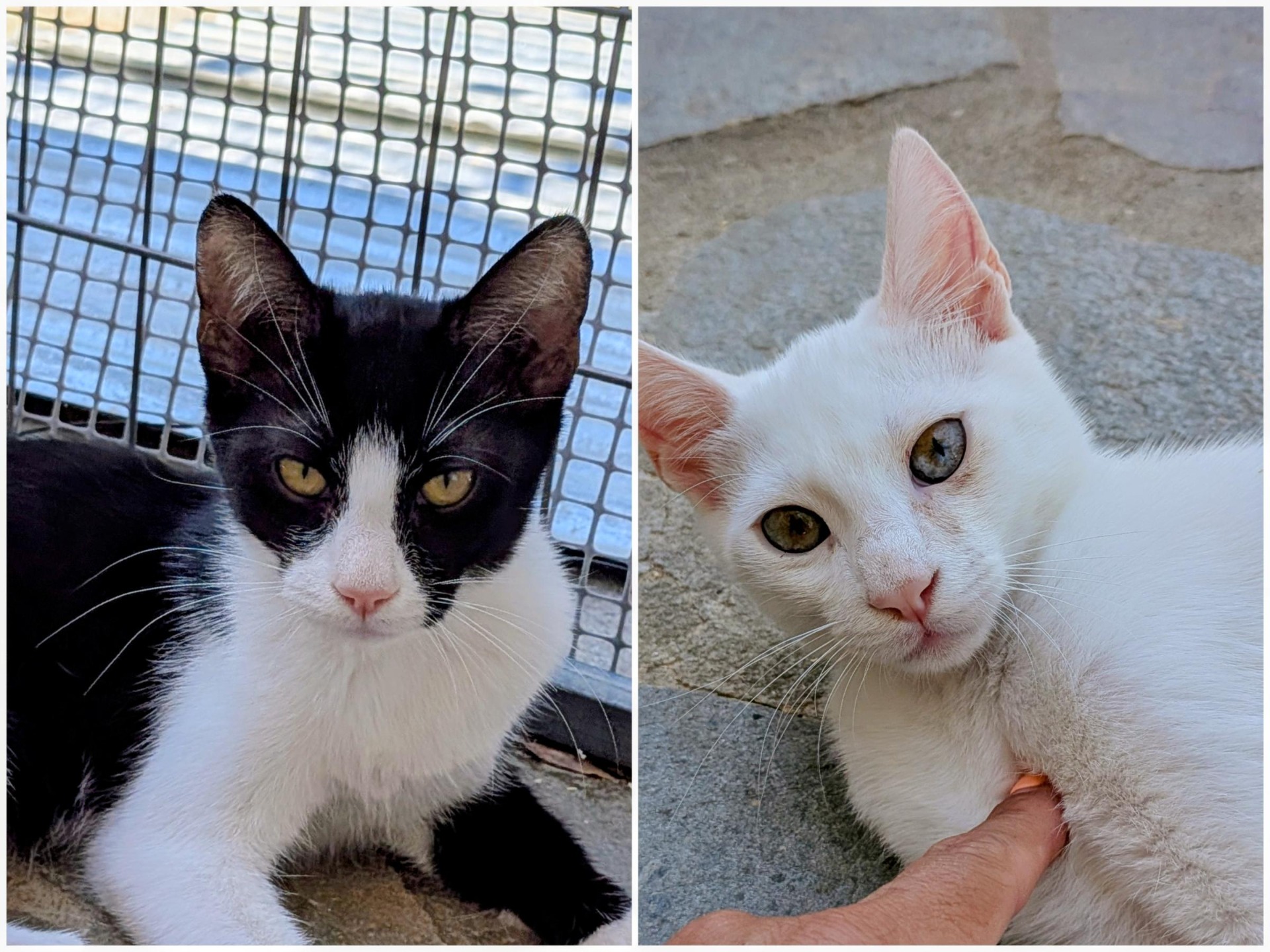 Maggie and Casper