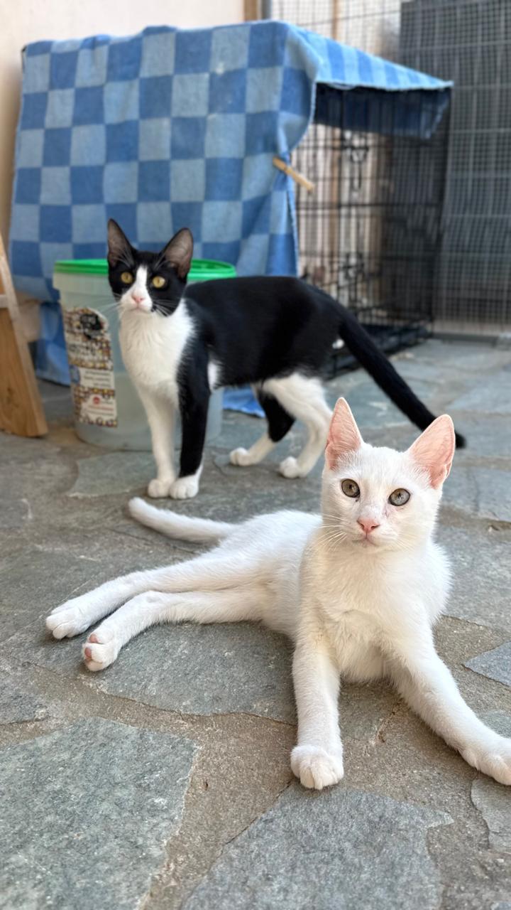 Maggie and Casper