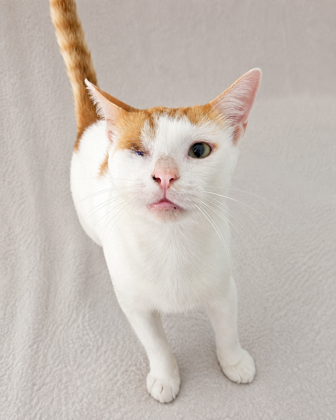Floyd (reserved)