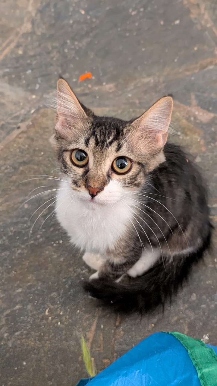 Jim (reserved)