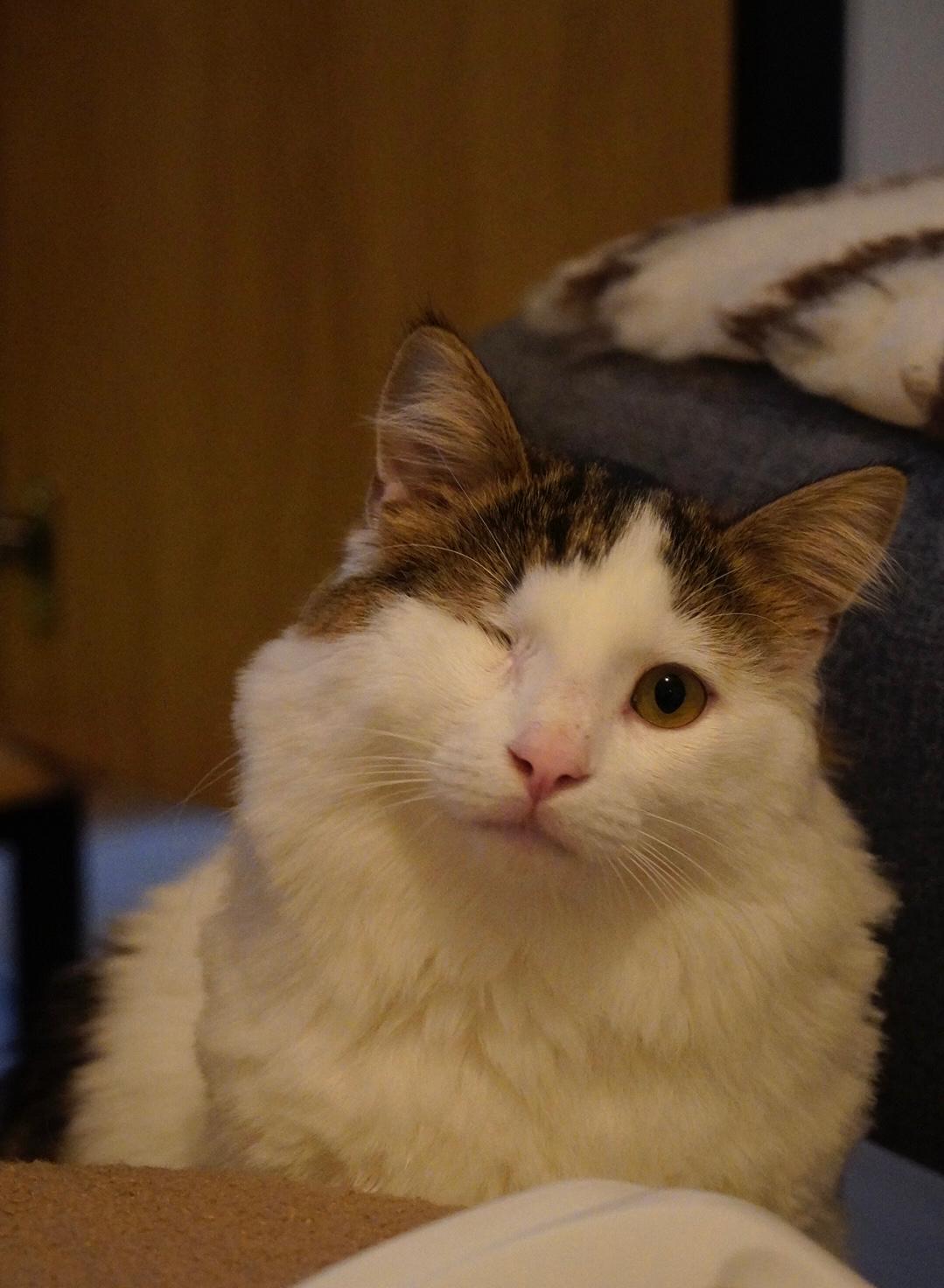 Jack 